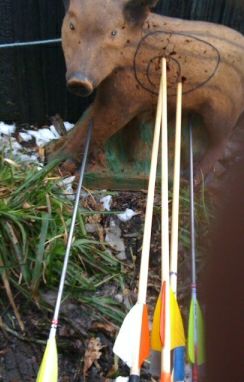 [Bore target with arrows]